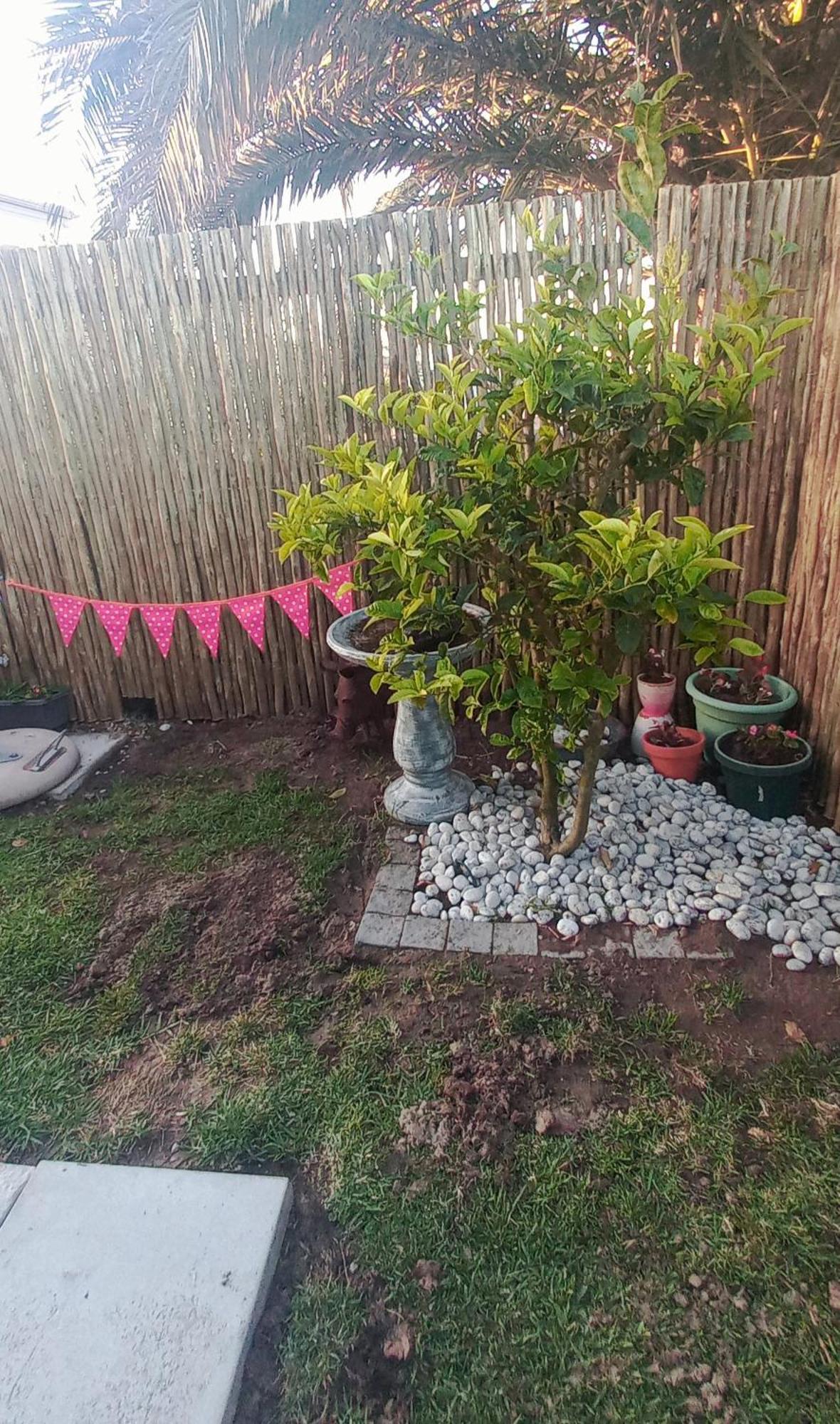 Fynbos Single Stay Langebaan Exteriör bild